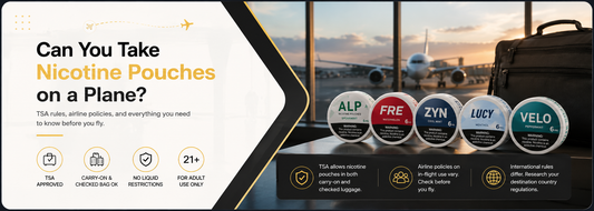 Can You Take Nicotine Pouches on a Plane? A Complete Travel Guide