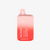 EBDesign BC5000 - Watermelon Bubble Gum - Box of 10