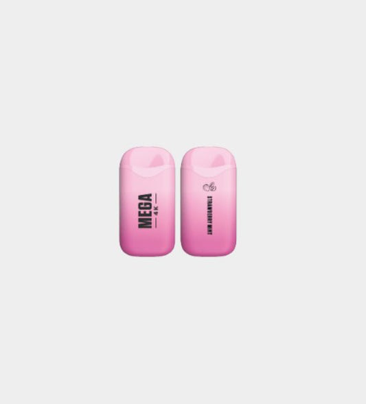 Mega 4K - Strawberry Mint - 10 Count Box
